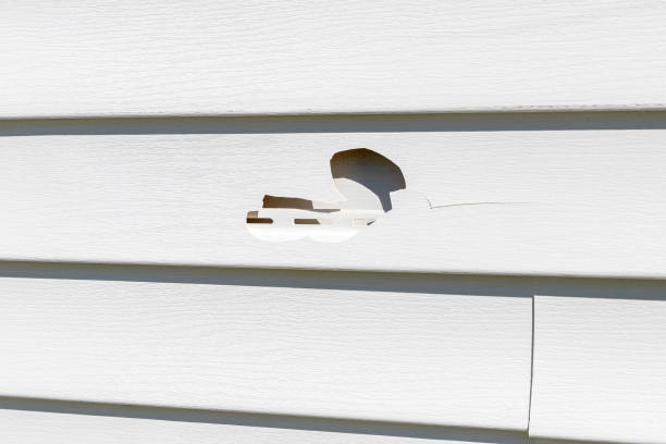 Siding for Commercial Buildings in Baldwin, WI