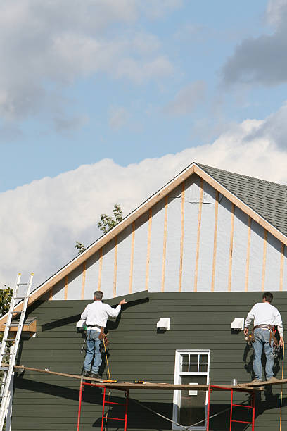 Best Residential Vinyl Siding Installation  in Baldn, WI